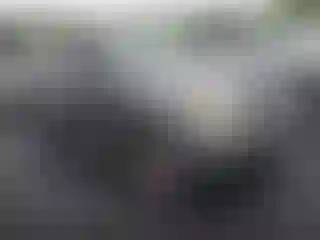 Vehicle Image- 2007 Nissan Pathfinder