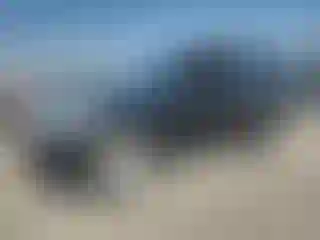 Vehicle Image- 2008 Nissan Pathfinder