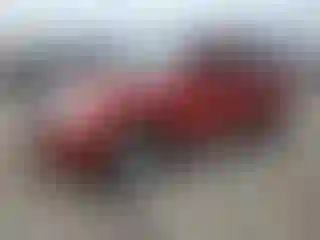 Vehicle Image- 2009 Nissan Pathfinder