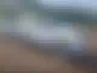 Vehicle Image- 2005 Nissan Pathfinder