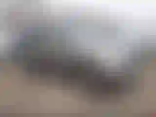 Vehicle Image- 2006 Nissan Pathfinder