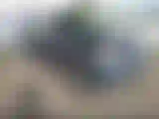 Vehicle Image- 2006 Nissan Pathfinder