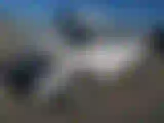 Vehicle Image- 2006 Nissan Pathfinder