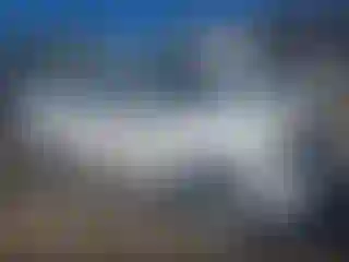 Vehicle Image- 2005 Nissan Pathfinder