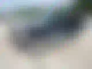 Vehicle Image- 2005 Nissan Pathfinder
