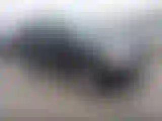 Vehicle Image- 2011 Nissan Pathfinder