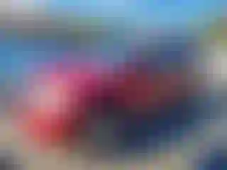 Vehicle Image- 2010 Nissan Pathfinder