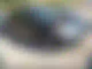 Vehicle Image- 2013 Nissan Pathfinder