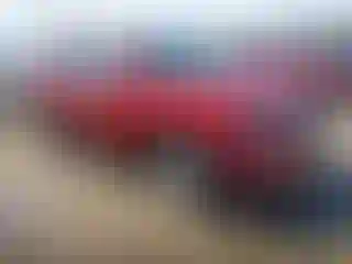 Vehicle Image- 2019 Nissan Rogue