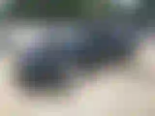 Vehicle Image- 2020 Nissan Rogue