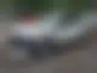 Vehicle Image- 2020 Nissan Rogue