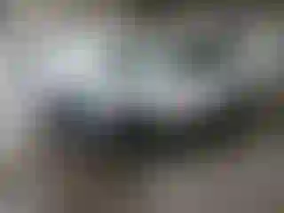 Vehicle Image- 2020 Nissan Rogue