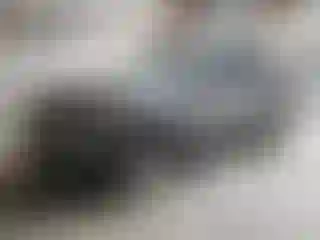 Vehicle Image- 2020 Nissan Rogue