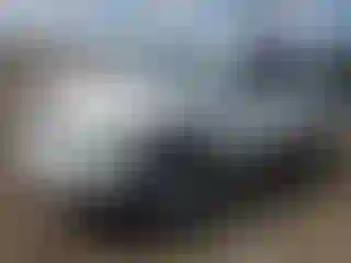 Vehicle Image- 2014 Nissan Rogue