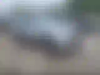 Vehicle Image- 2020 Nissan Rogue