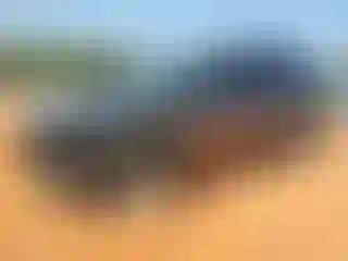 Vehicle Image- 2021 Nissan Rogue