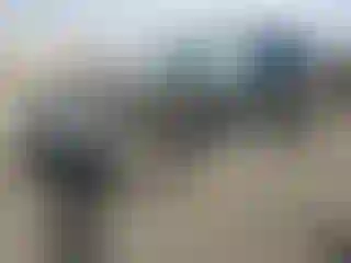 Vehicle Image- 2023 Nissan Murano
