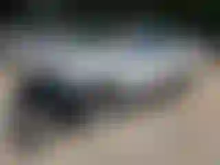 Vehicle Image- 2020 Nissan Murano