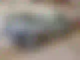 Vehicle Image- 2023 Nissan Murano