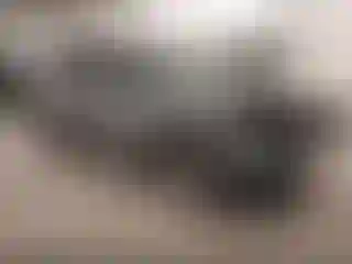 Vehicle Image- 2021 Nissan Murano