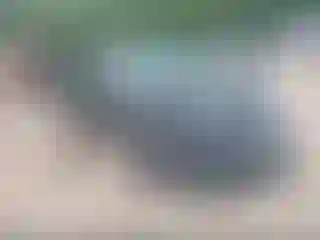 Vehicle Image- 2016 Nissan Murano