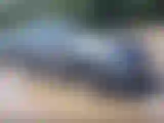 Vehicle Image- 2018 Nissan Murano