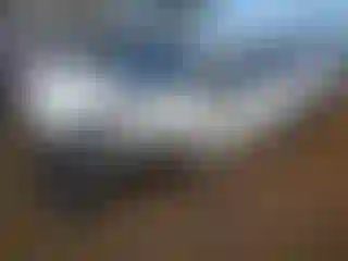 Vehicle Image- 2019 Nissan Murano