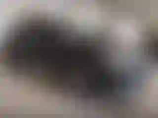 Vehicle Image- 2019 Nissan Murano