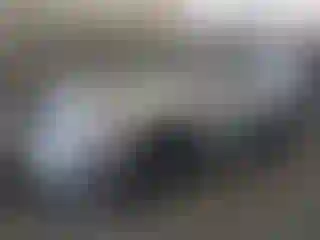 Vehicle Image- 2019 Nissan Murano