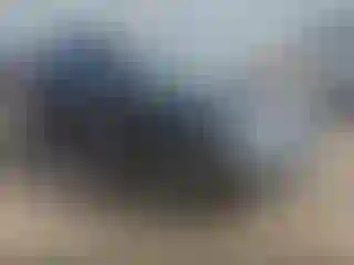 Vehicle Image- 2019 Nissan Murano