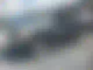 Vehicle Image- 2007 Nissan Armada
