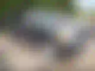 Vehicle Image- 2007 Nissan Armada