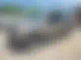 Vehicle Image- 2008 Nissan Armada