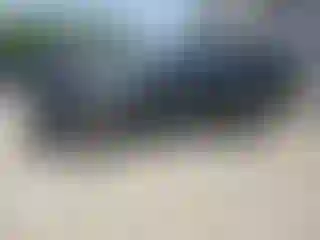 Vehicle Image- 2023 Nissan Rogue