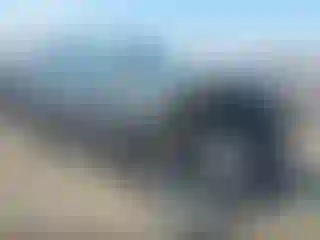 Vehicle Image- 2023 Nissan Rogue