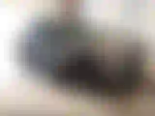 Vehicle Image- 2023 Nissan Rogue