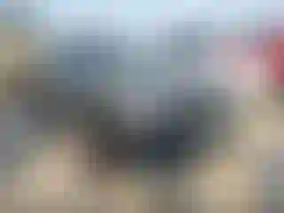 Vehicle Image- 2023 Nissan Rogue
