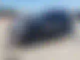 Vehicle Image- 2024 Nissan Rogue