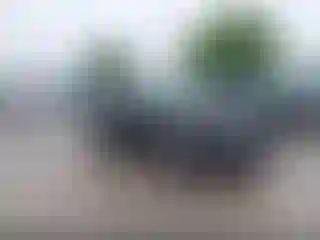 Vehicle Image- 2023 Nissan Rogue