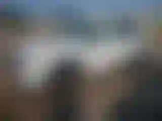 Vehicle Image- 2025 Nissan Rogue