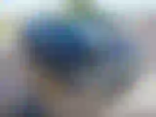 Vehicle Image- 2024 Nissan Rogue