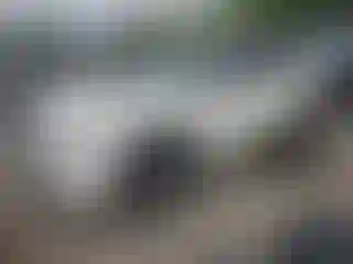 Vehicle Image- 2023 Nissan Rogue