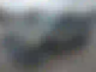 Vehicle Image- 2004 Nissan Xterra