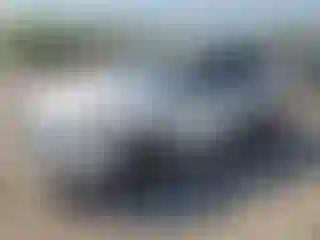 Vehicle Image- 2020 Infiniti QX60