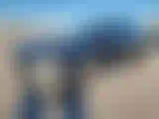 Vehicle Image- 2019 Infiniti QX60