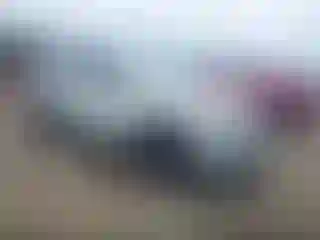 Vehicle Image- 2023 Infiniti QX60