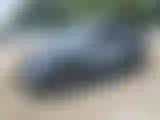 Vehicle Image- 2022 Nissan Pathfinder
