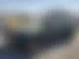 Vehicle Image- 2000 Nissan Xterra