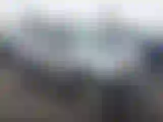 Vehicle Image- 2002 Nissan Xterra