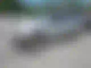 Vehicle Image- 2004 Nissan Xterra